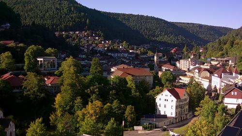 Webcam Bad Wildbad
