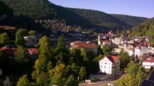 Webcam Bad Wildbad