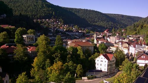 Webcam Bad Wildbad