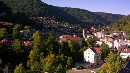 Webcam Bad Wildbad