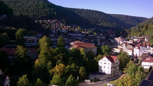Webcam Bad Wildbad