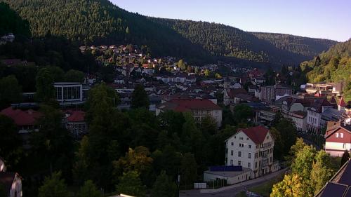 Webcam Bad Wildbad