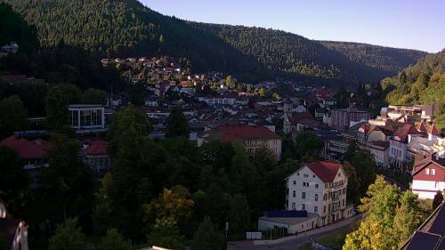 Webcam Bad Wildbad