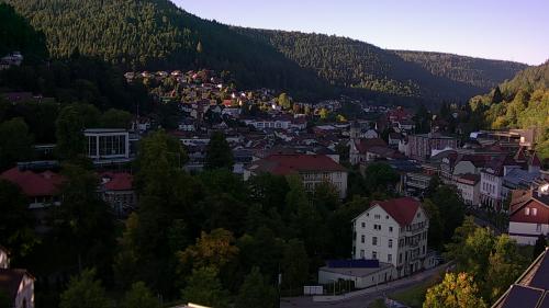 Webcam Bad Wildbad