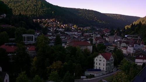 Webcam Bad Wildbad