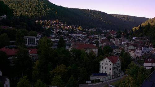 Webcam Bad Wildbad