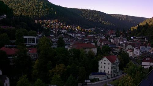 Webcam Bad Wildbad