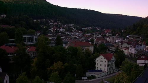 Webcam Bad Wildbad