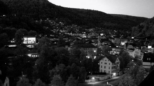 Webcam Bad Wildbad