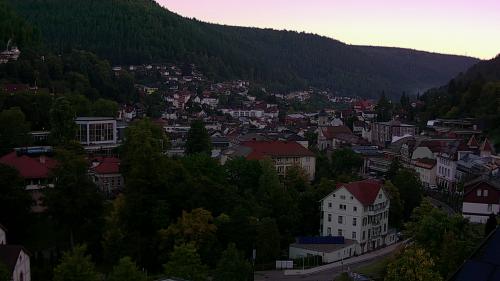 Webcam Bad Wildbad