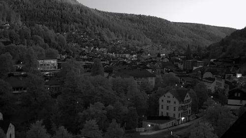 Webcam Bad Wildbad
