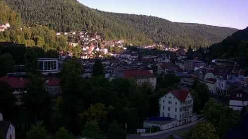 Webcam Bad Wildbad