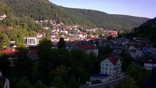 Webcam Bad Wildbad