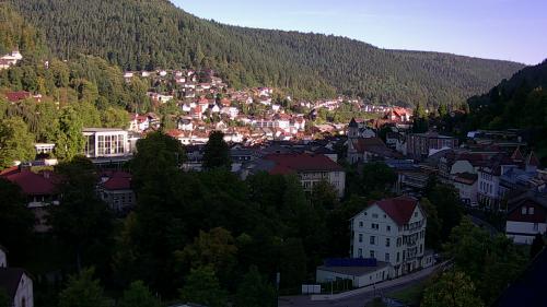 Webcam Bad Wildbad