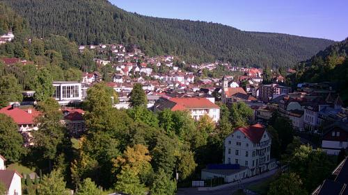 Webcam Bad Wildbad