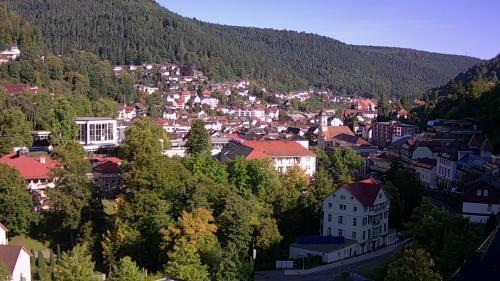 Webcam Bad Wildbad
