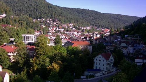 Webcam Bad Wildbad