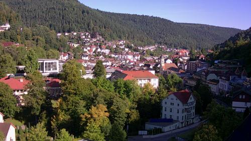 Webcam Bad Wildbad