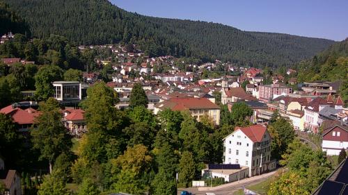 Webcam Bad Wildbad