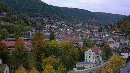 Webcam Bad Wildbad