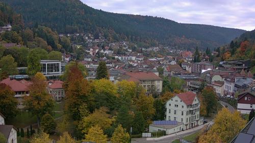 Webcam Bad Wildbad