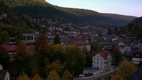 Webcam Bad Wildbad