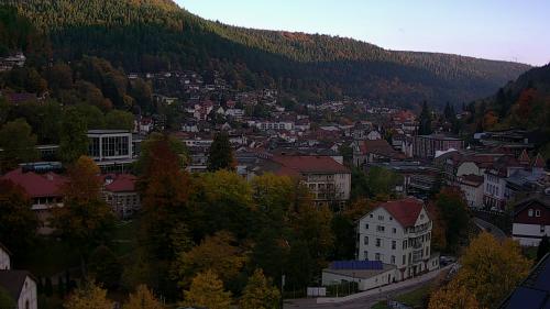 Webcam Bad Wildbad
