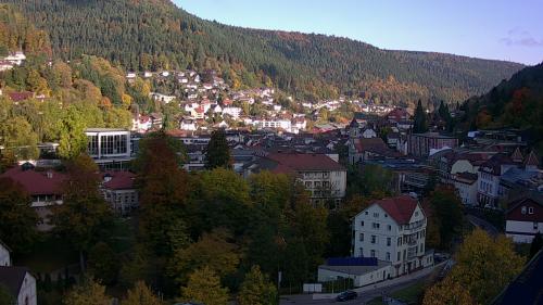 Webcam Bad Wildbad