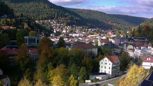 Webcam Bad Wildbad