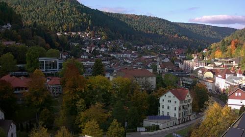 Webcam Bad Wildbad