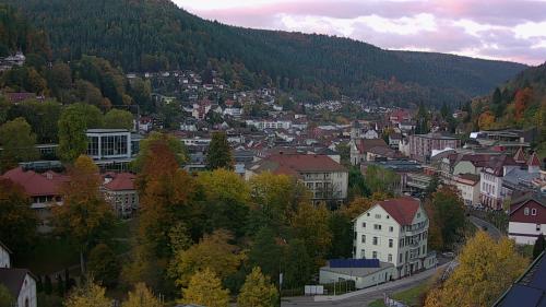 Webcam Bad Wildbad