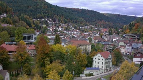 Webcam Bad Wildbad