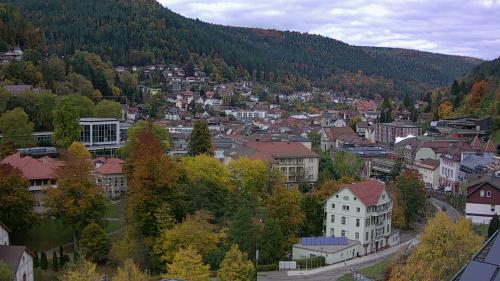 Webcam Bad Wildbad