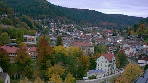 Webcam Bad Wildbad