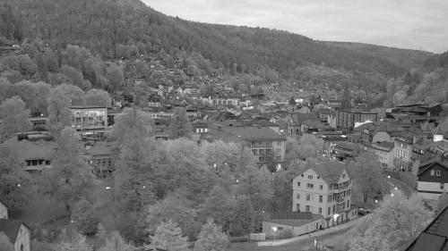 Webcam Bad Wildbad