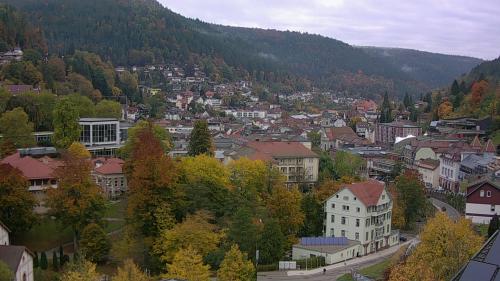 Webcam Bad Wildbad