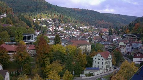 Webcam Bad Wildbad