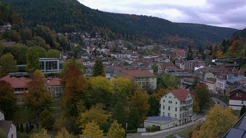 Webcam Bad Wildbad