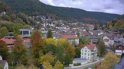 Webcam Bad Wildbad