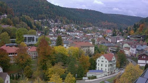 Webcam Bad Wildbad