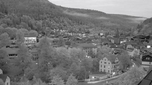 Webcam Bad Wildbad