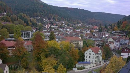 Webcam Bad Wildbad
