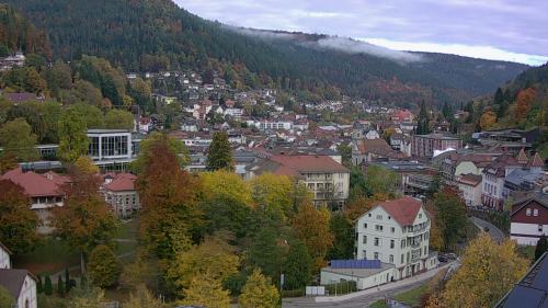 Webcam Bad Wildbad
