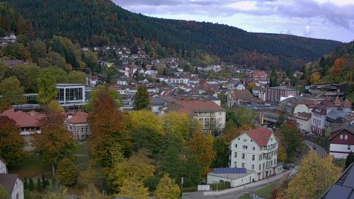 Webcam Bad Wildbad