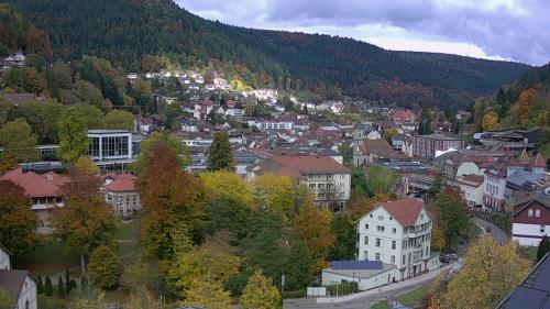 Webcam Bad Wildbad