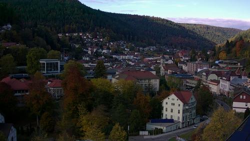 Webcam Bad Wildbad
