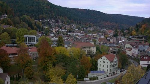 Webcam Bad Wildbad