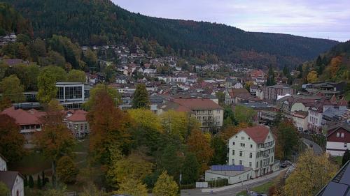 Webcam Bad Wildbad
