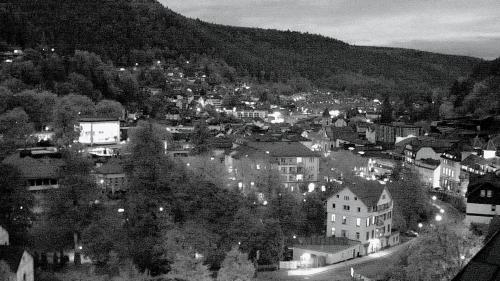 Webcam Bad Wildbad