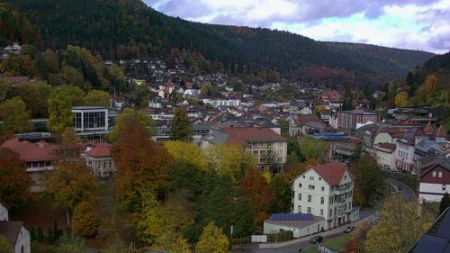Webcam Bad Wildbad